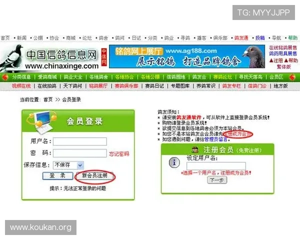U体育在线登录入口官方指南，确保用户安全顺畅进入平台